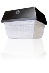 WP401 Series Small Canopy Light