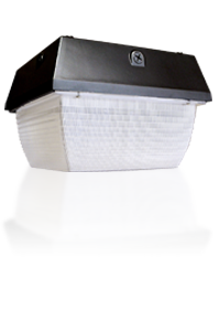 WP402 Series Large Canopy Light