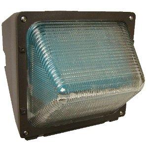 Hubbell WPH Series Medium 100W HPS Wall Pack