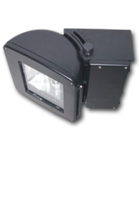 WP306EX Series Large Adjustable Area Light