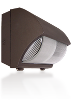 WP119EX Series Semi Cutoff Wall Pack