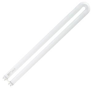 Lamp Fluorescent U Bend 31 watt - T8 - 3500K - FBO31/835/U3