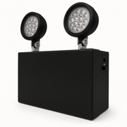 Dual Head High-Output Industrial Emergency Unit - black housing