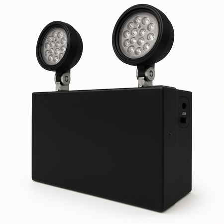 Dual Head High-Output Industrial Emergency Unit - black housing