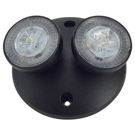 Dual-head 2RL52 LED remote head with adjustable optics and low-profile design