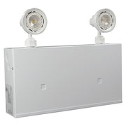 Steel emergency light with remote-capable cabinet and adjustable LED heads