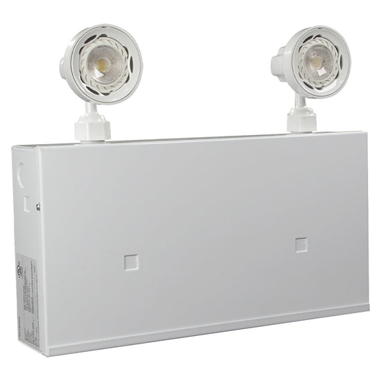 Steel emergency light with remote-capable cabinet and adjustable LED heads