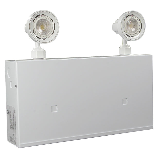 Steel emergency light with remote-capable cabinet and adjustable LED heads
