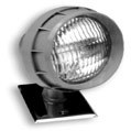 Remote Halogen Head - Single - 12 Volt - Harsh Location C1D2