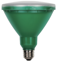 LED 15W PAR38 FLOOD GREEN - LED15PAR38/FL/GREEN