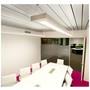 Finelite Series 16 Fluorescent Drop Fixture Pendant S16-WCB